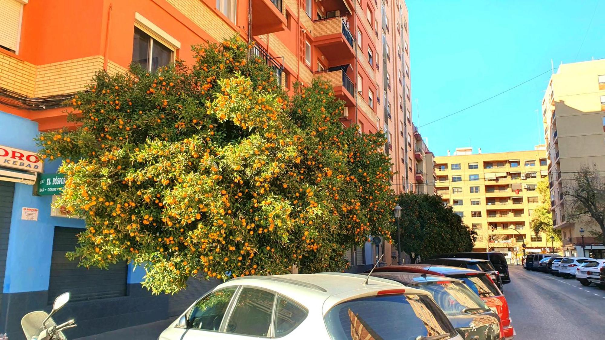 Nuevo Apartamentos Costa Del Alma Valencia Exterior photo